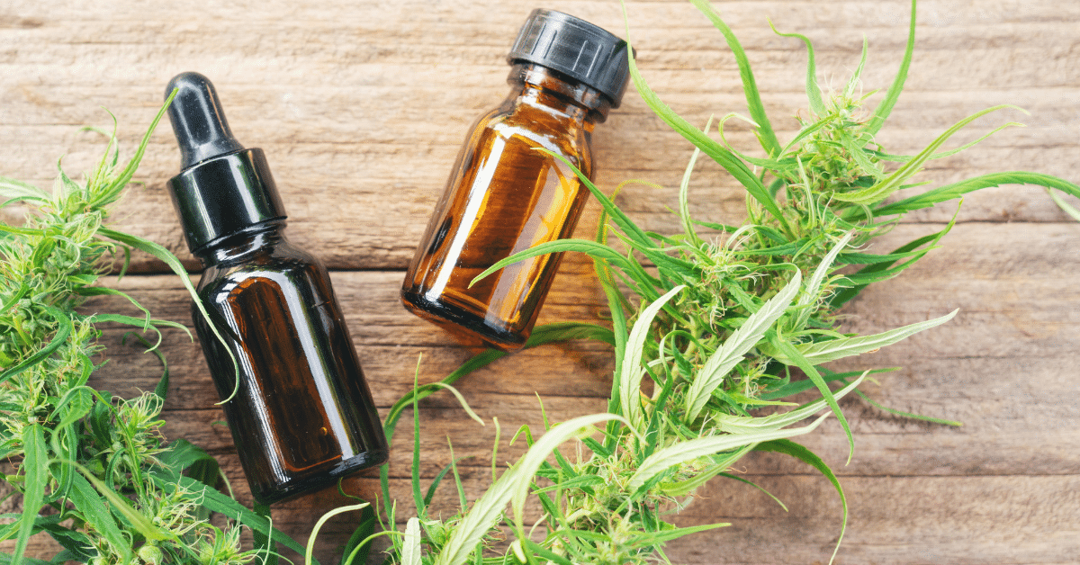 מהו שמן CBD? מדריך מקיף לקנאבידיול