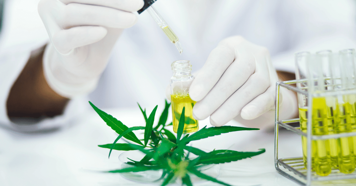 יתרונות של שימוש בשמן CBD